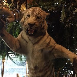 Meet your Posher, Sean